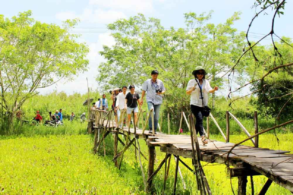 Du khách đến tham quan rừng U Minh