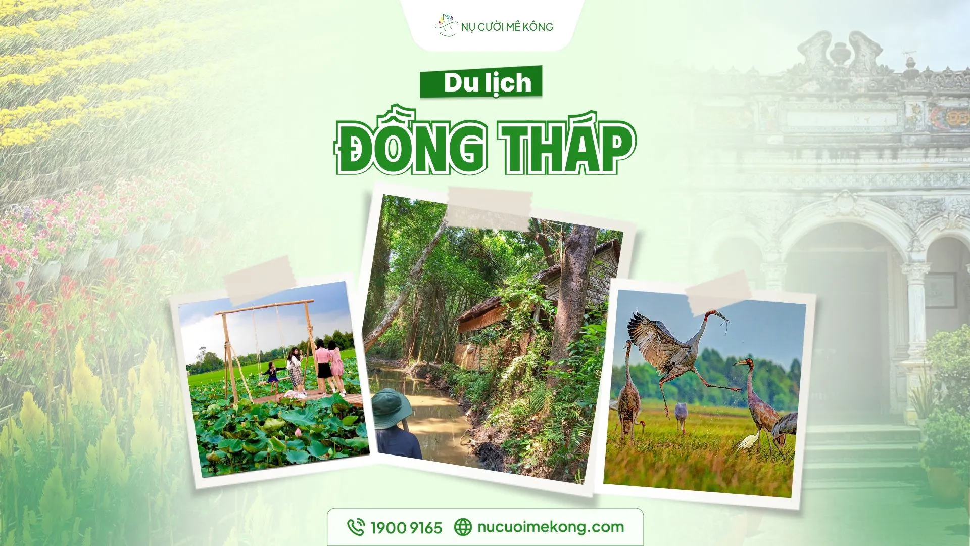 Đồng Tháp
