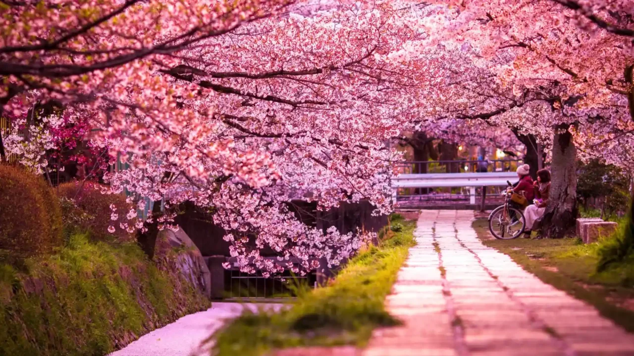 Con đường triết học Kyoto