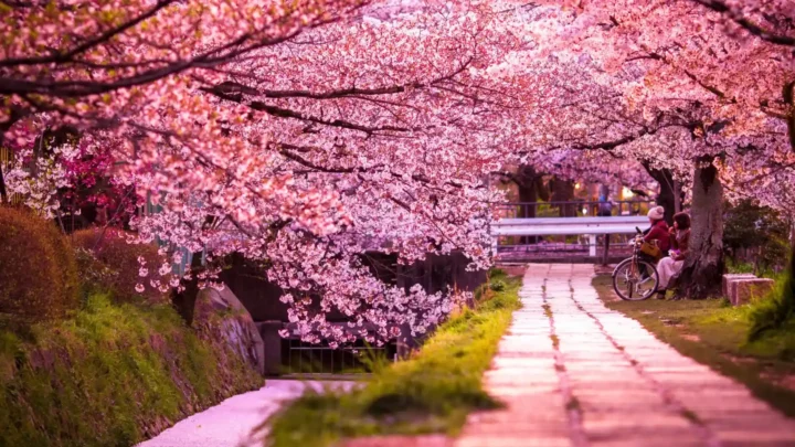 Con đường triết học Kyoto