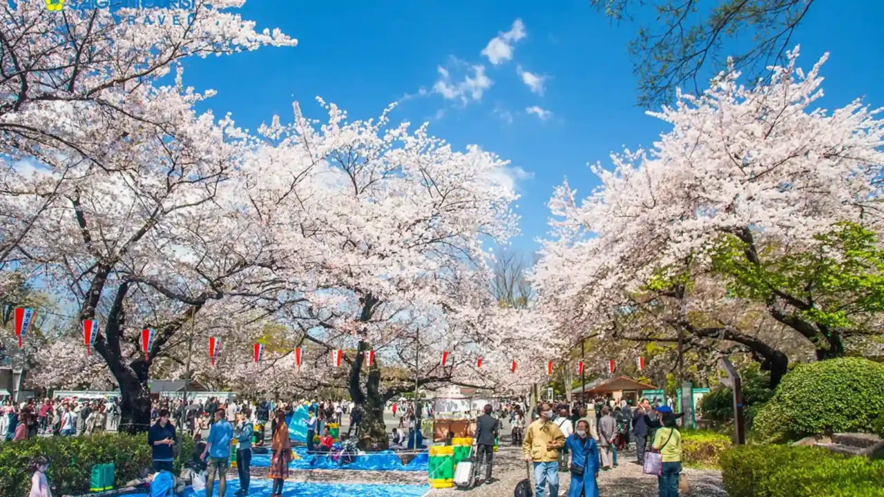 Công viên Ueno trong tour Nhật bản 5 ngày 4 đêm