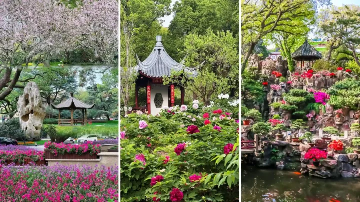 Vườn hoa Dự Viên Thượng Hải với nhiều loại hoa rực rỡ và lối đi đẹp mắt