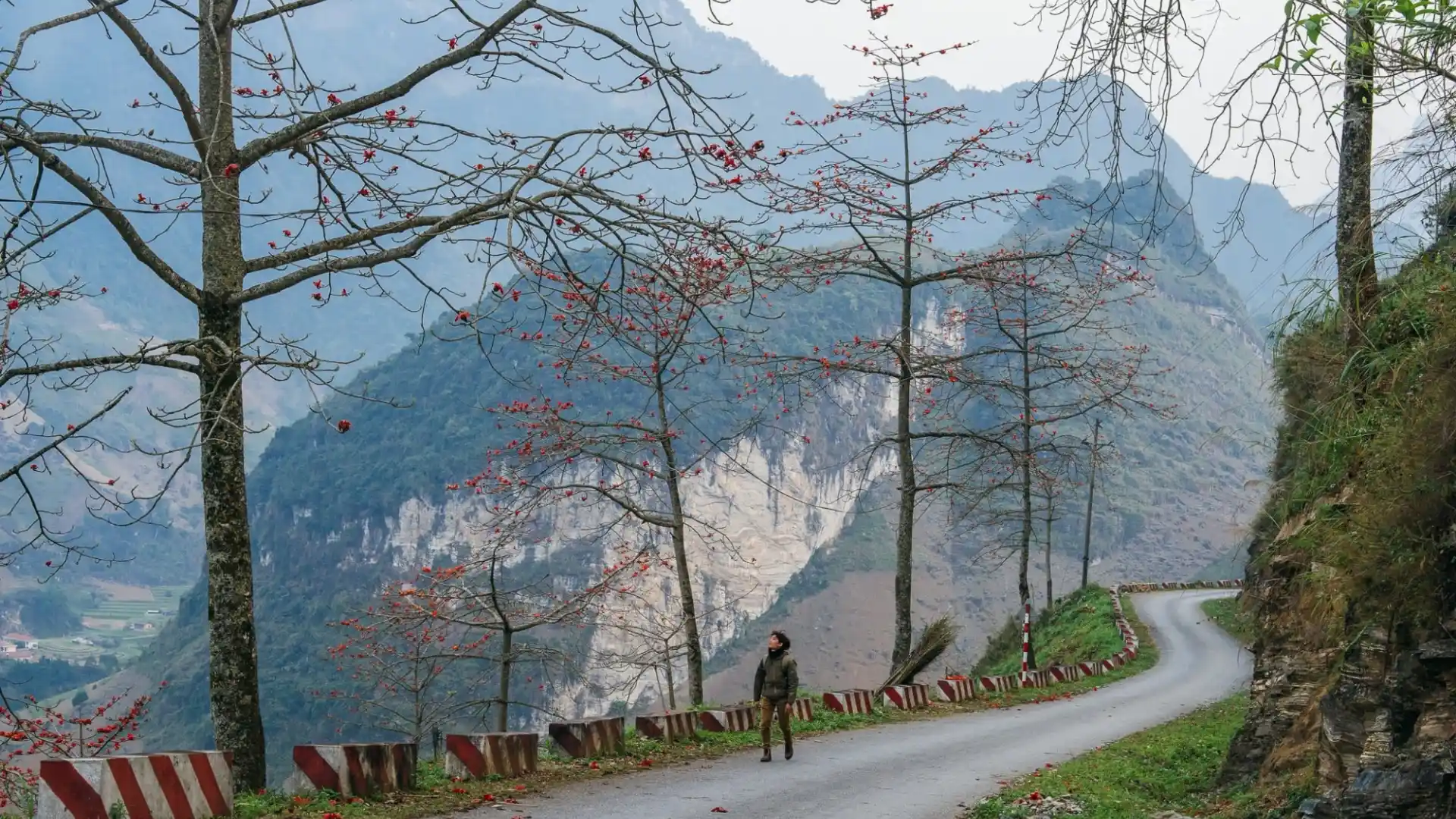 Đường lên Núi Đôi có phong cảnh núi non xanh mướt