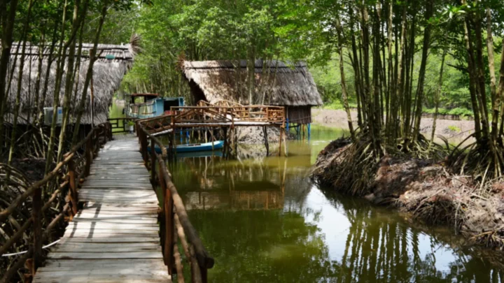farmstay hoang hon dat mui cau go nha la