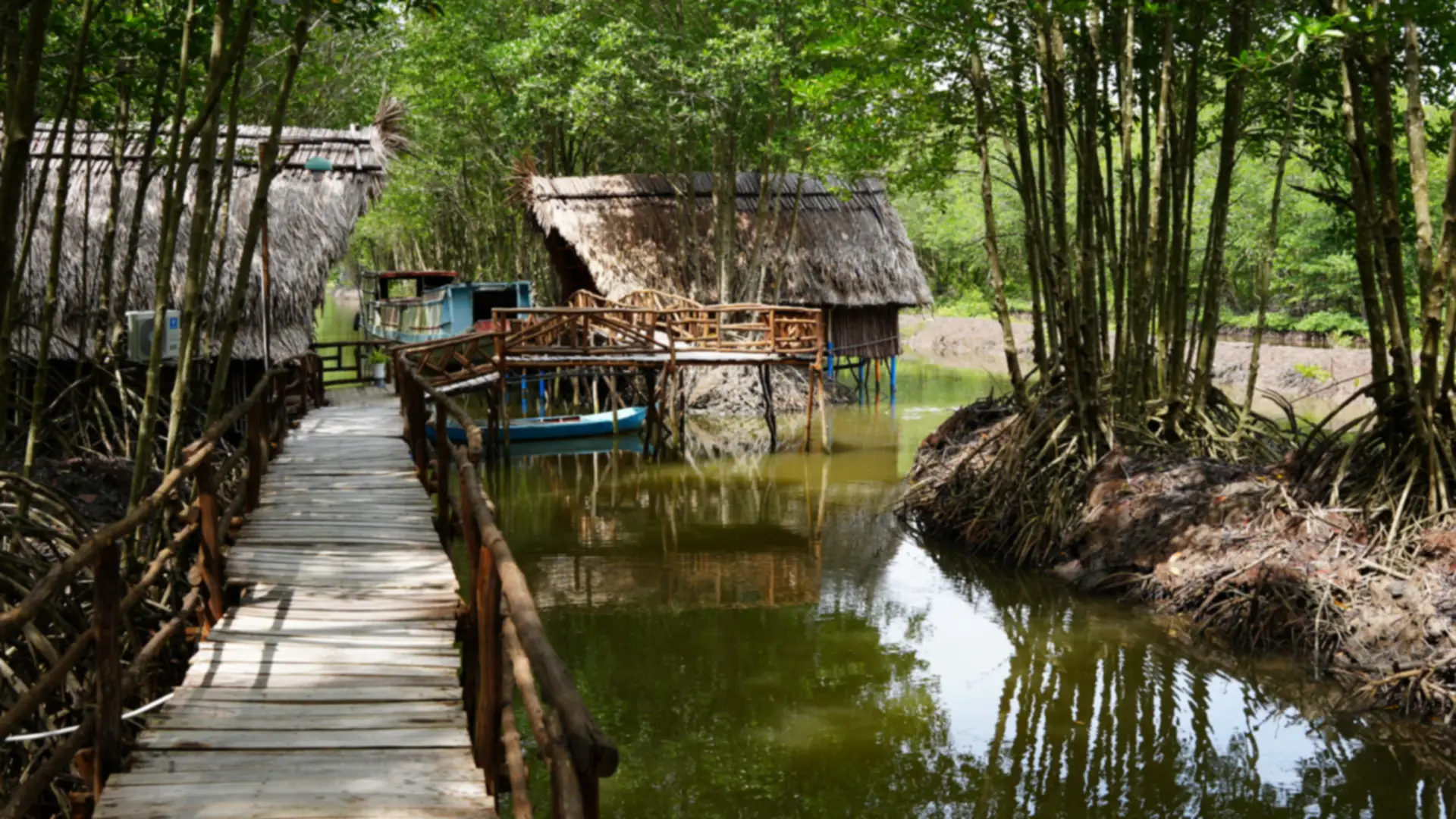 Farmstay Hoàng Hôn ở Đất Mũi với cầu gỗ dẫn vào nhà lá