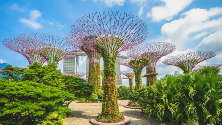 Gardens by the Bay Singapore – Tour Singapore Malaysia giá tốt