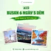 Khám phá tour Busan 6 ngày 5 đêm