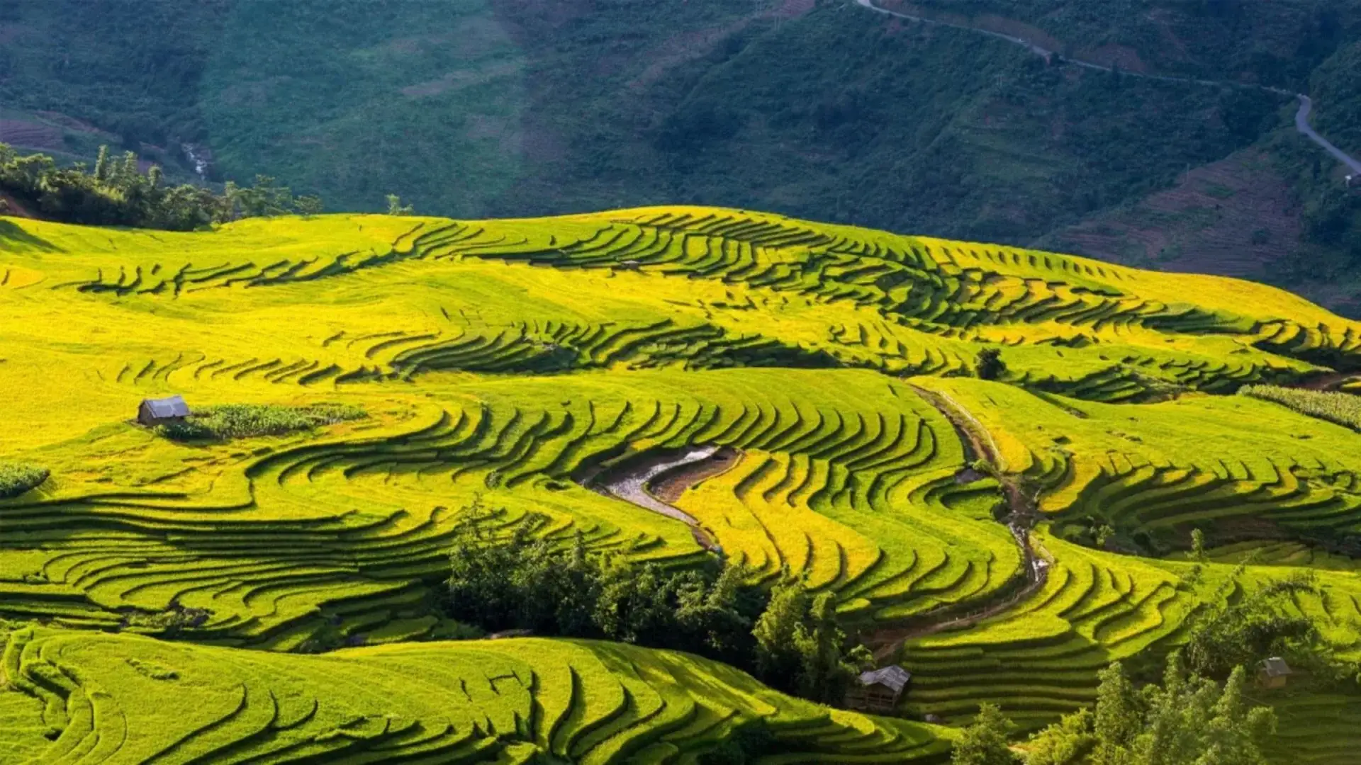 Du khách không xả rác và phá hoại cây cối tại Y Tý