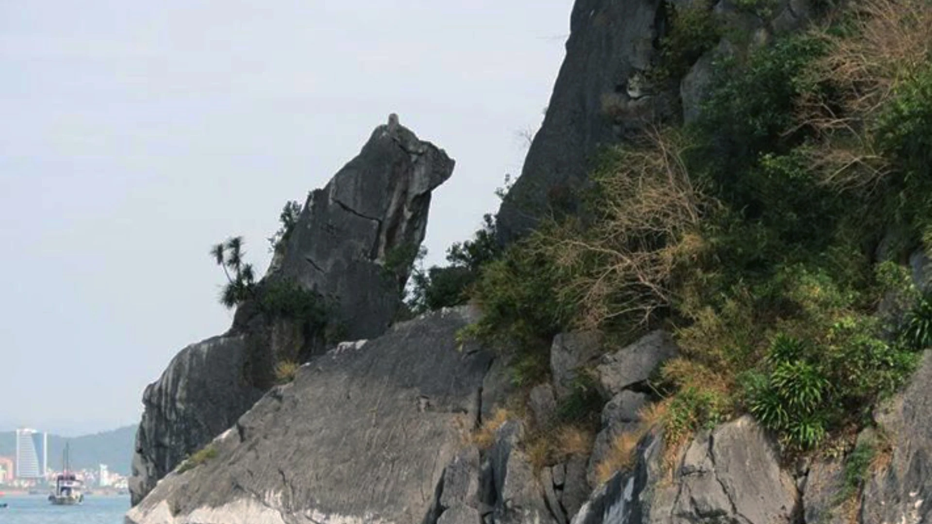 Góc nhìn Hòn Chó Đá từ cano có nhiều trải nghiệm cận cảnh