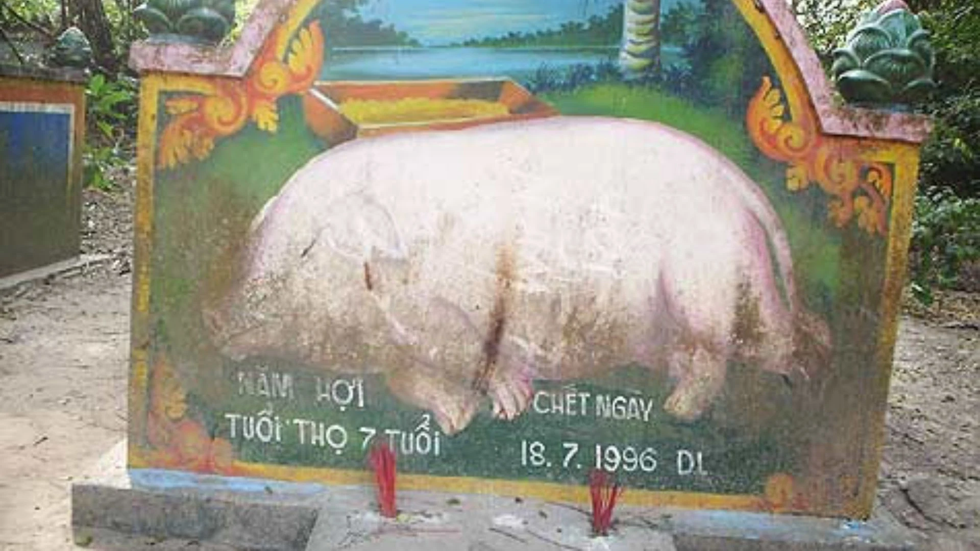 Mộ heo 5 móng Chùa Dơi Sóc Trăng