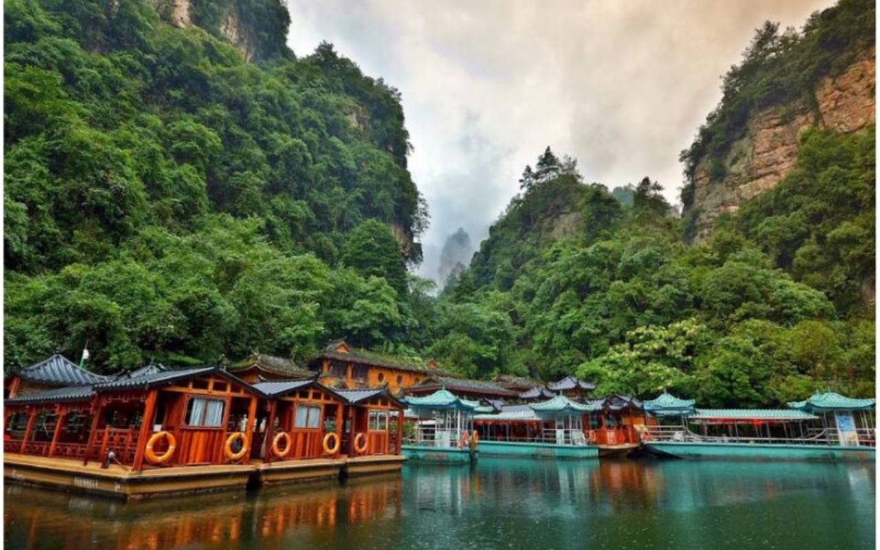 Hồ Bảo Phong 