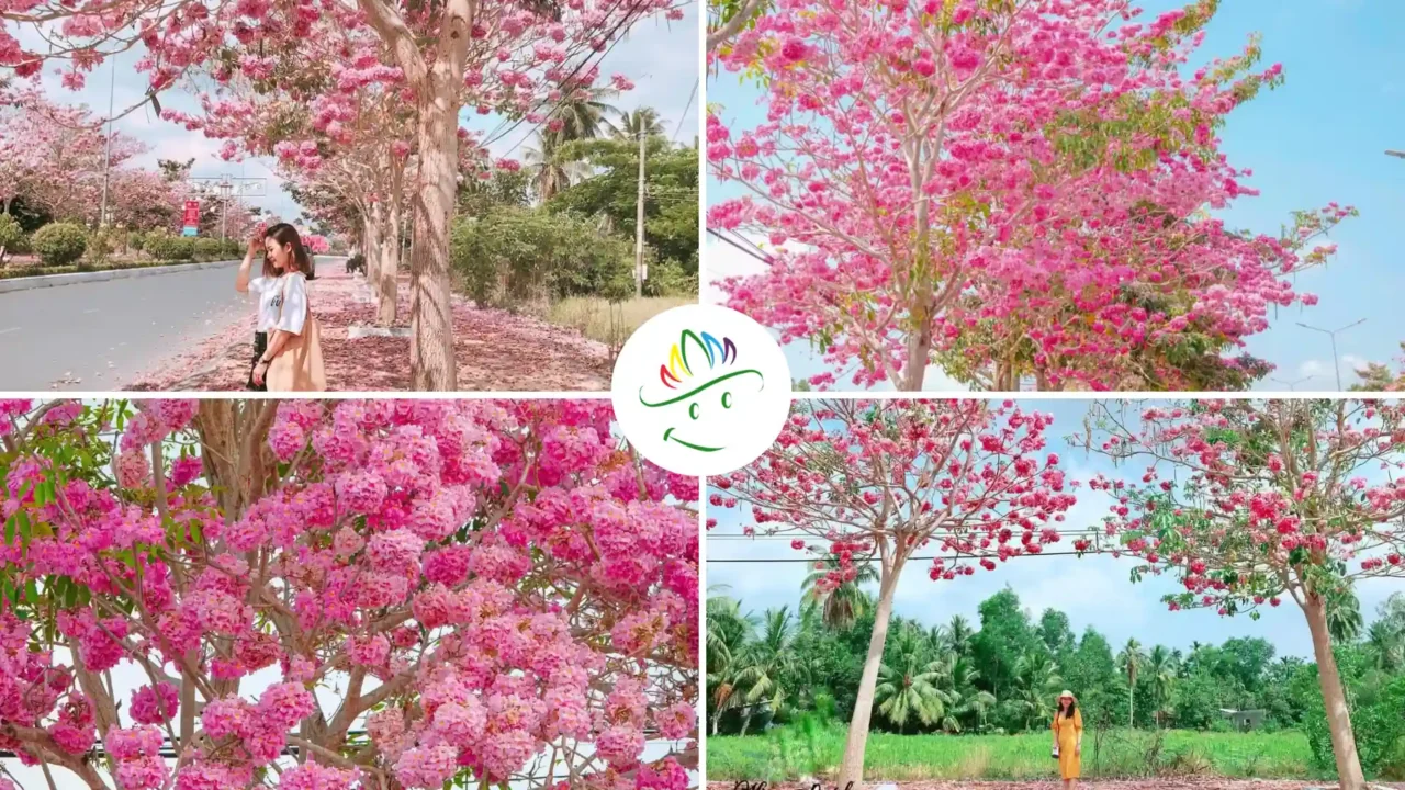 Nụ Cười Mê Kông