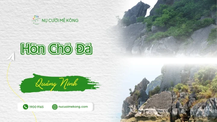 Hòn Chó Đá là điểm đến độc đáo và hấp dẫn