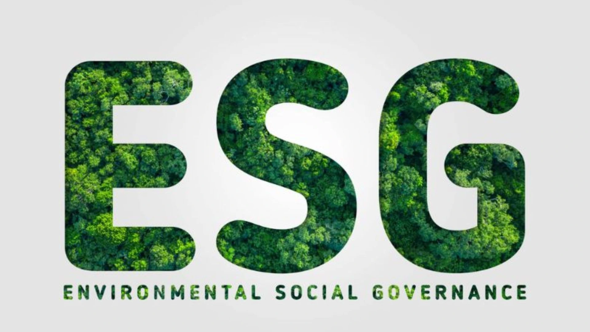 giải thích 3 trụ cột của ESG cùng Nụ cười Mê Kông