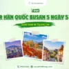 Khám phá tour Hàn Quốc Busan 5N5Đ cùng Nụ cười Mê Kông