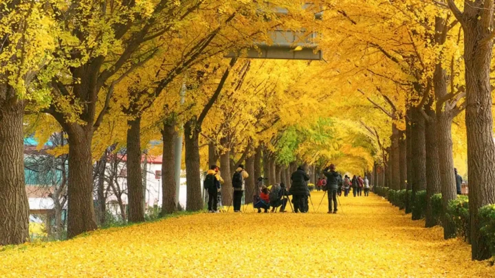 Khu Điếu Ngư Đài Trung Quốc