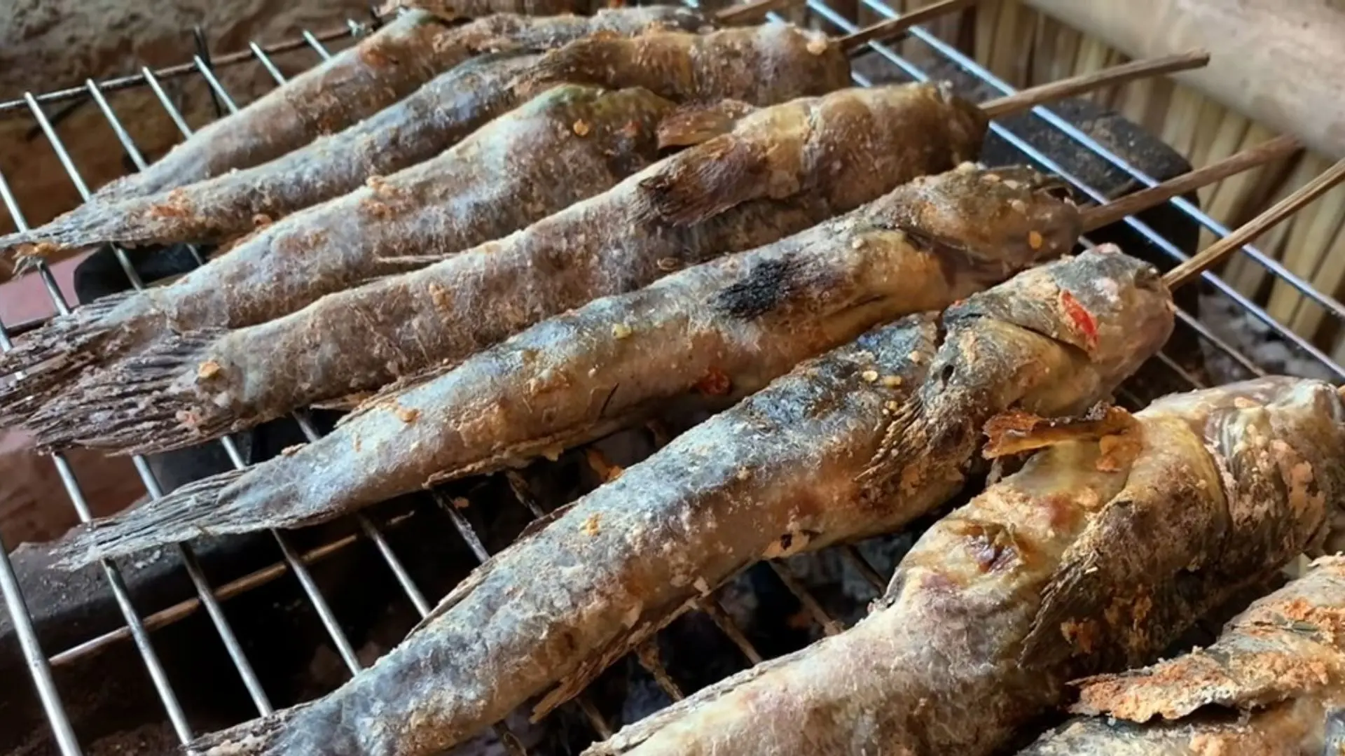 Khu du lịch Mũi Cà Mau - Trải nghiệm độc đáo ở điểm cực Nam khu-du-lich-mui-ca-mau-nu-cuoi-me-kong-ca-thoi-loi-nuong-muoi-ot