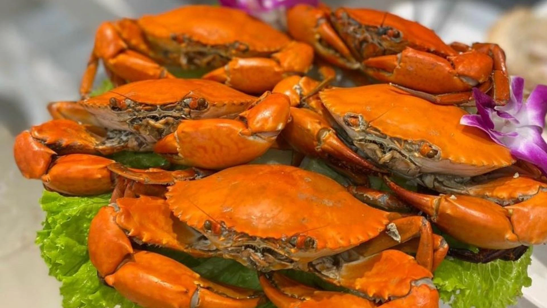 Khu du lịch Mũi Cà Mau - Trải nghiệm độc đáo ở điểm cực Nam khu-du-lich-mui-ca-mau-nu-cuoi-me-kong-cua-ca-mau