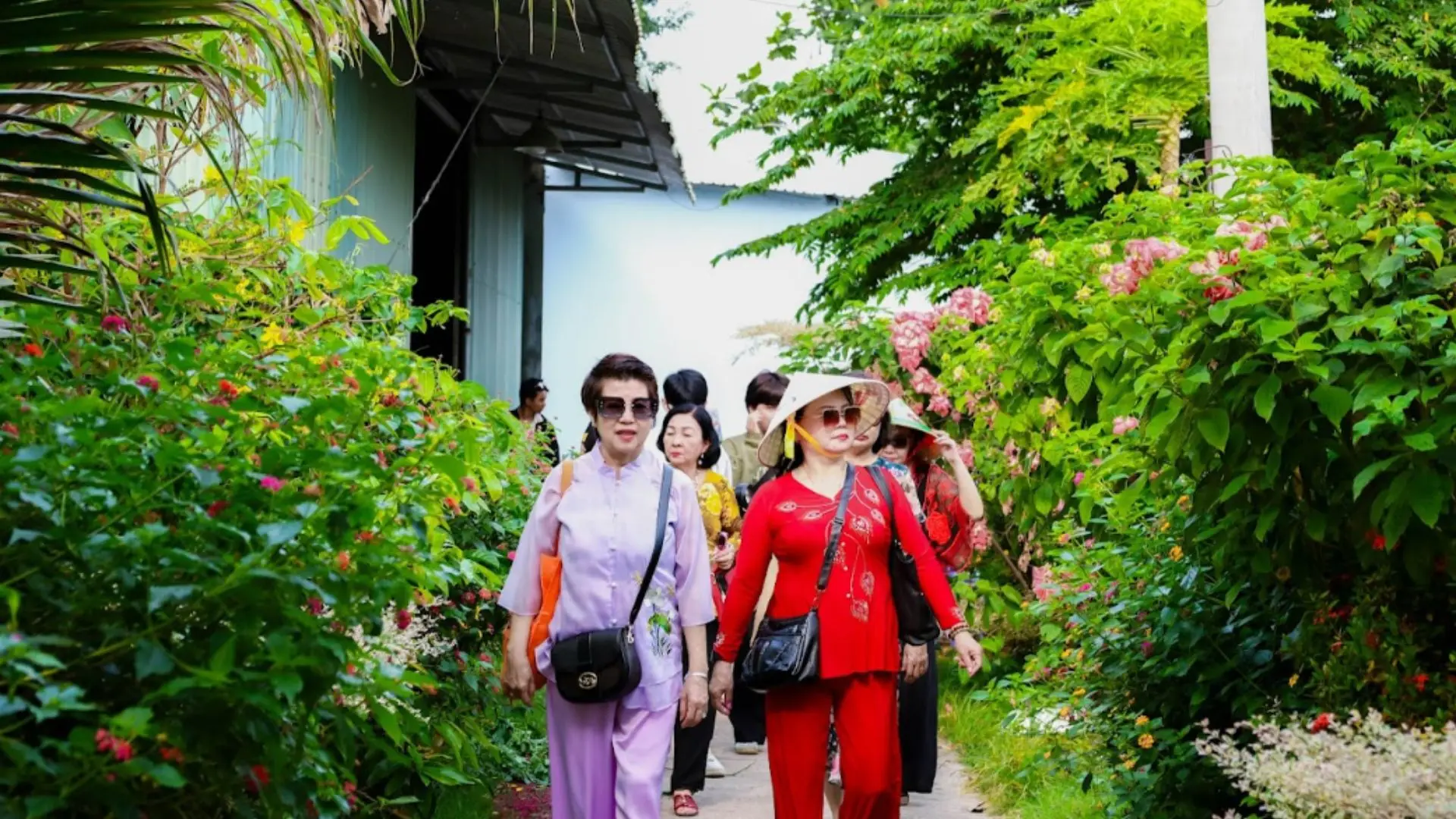 Khung cảnh xanh mát bên cồn