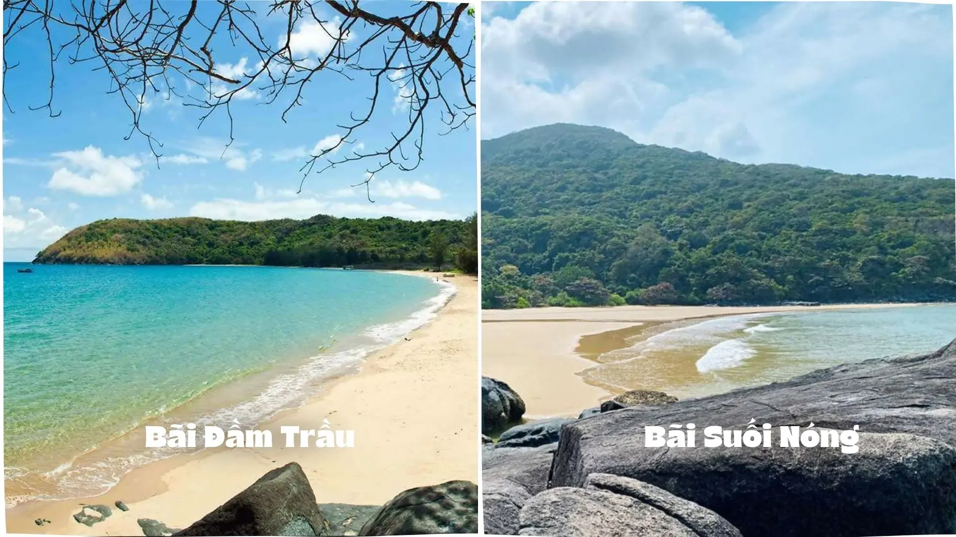bai-dam-trau-va-bai-suoi-nong