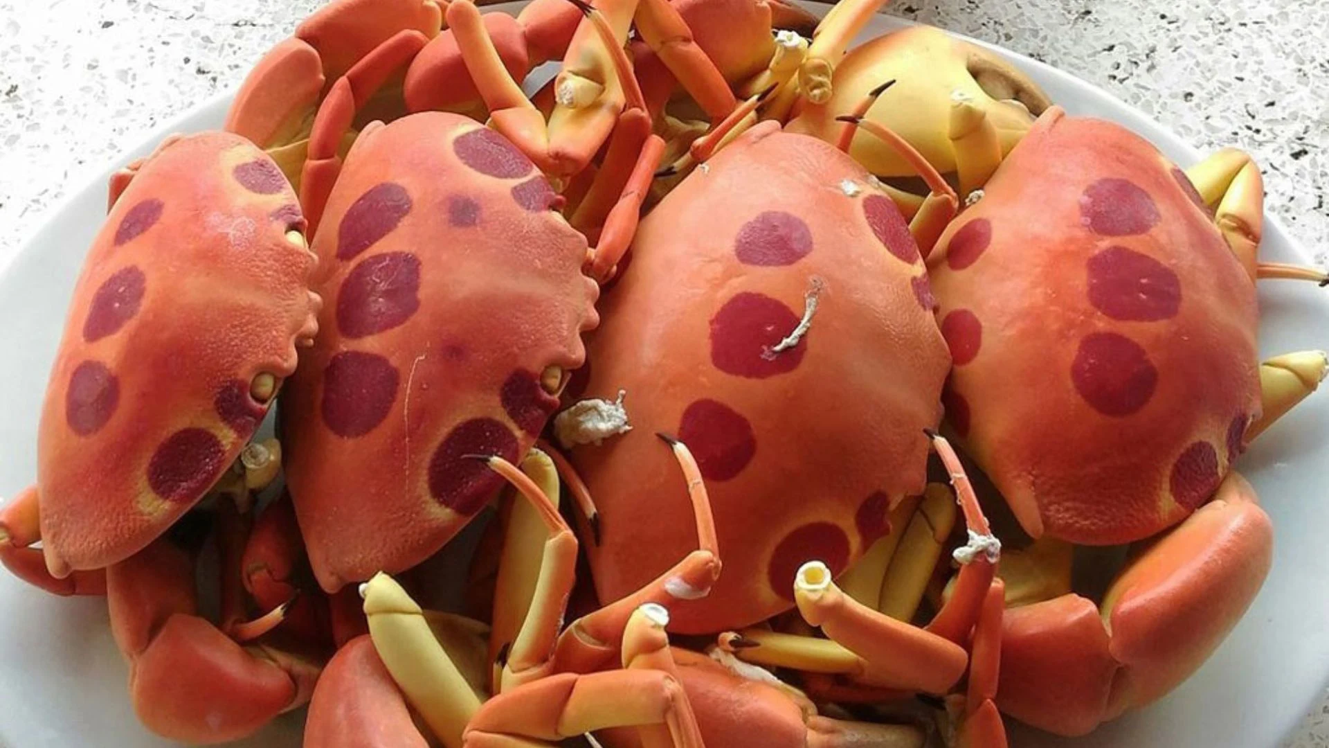 cua-mat-trang-con-dao