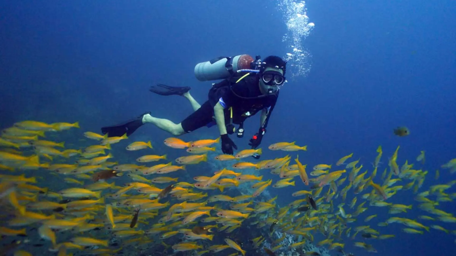 Tour Nha Trang 4 ngày 3 đêm – Lịch trình trọn gói lan-bien-bang-binh-duong-khi