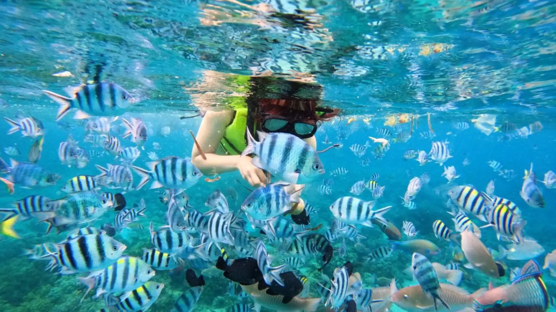Lặn ngắm san hô bằng ống thở (Snorkeling)