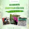 land-tour-con-son