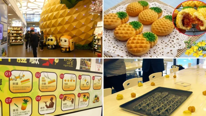 Trải nghiệm làm bánh dứa tại lâu đài Dứa Vigor Kobo