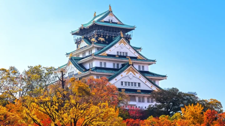 Lâu đài Osaka nổi bật giữa công viên mùa thu với sắc lá vàng đỏ rực rỡ.
