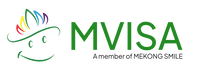 logo mvisa