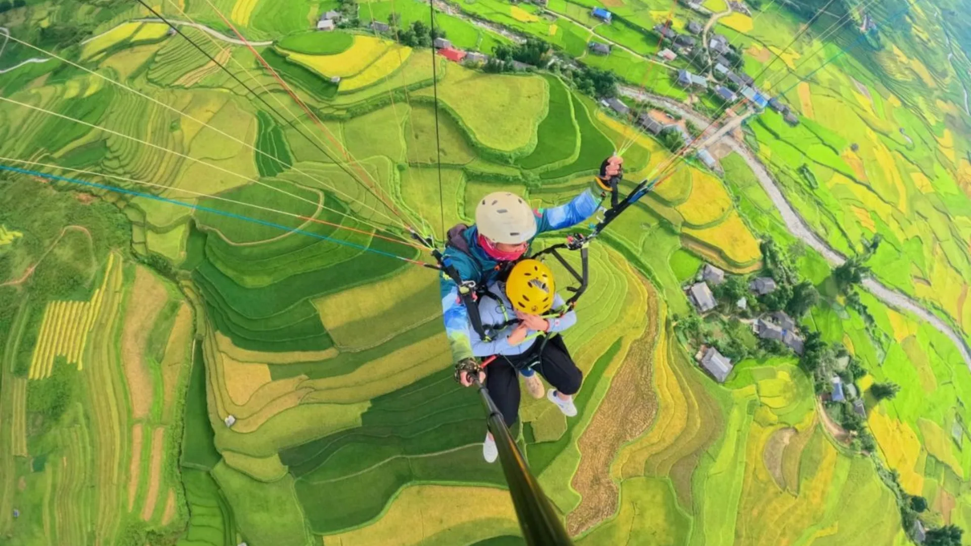 Dù lượn bay qua ruộng bậc thang đèo Khau Phạ mùa lúa chín