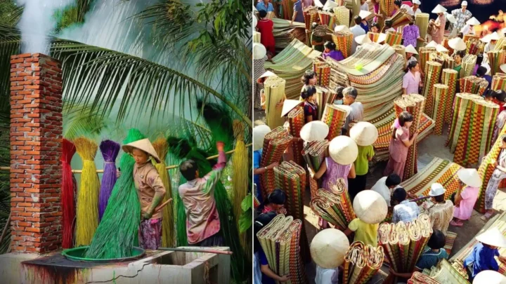 Làng làm chiếu Định Yên trong tour vườn quýt Vung Lai