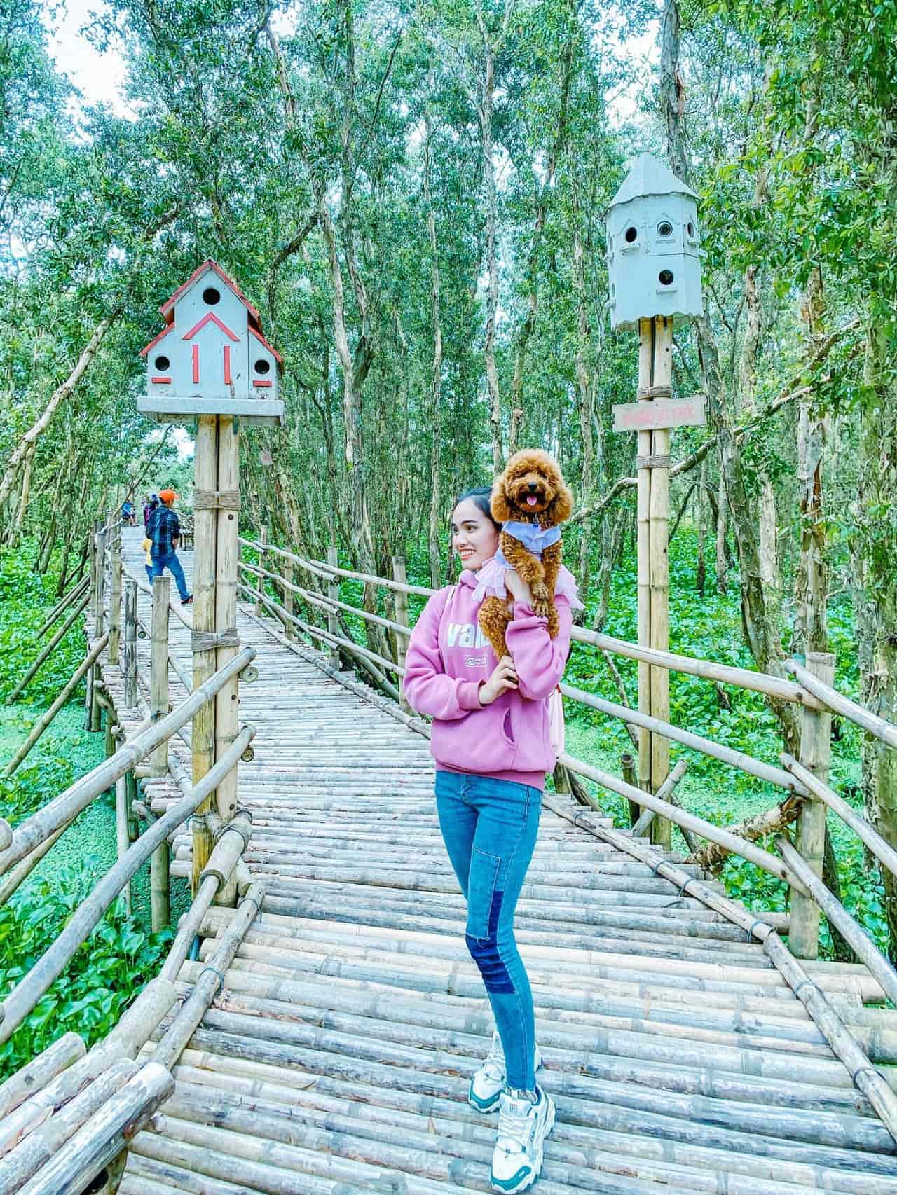 Phượt rừng tràm Trà Sư - Check-in cây cầu tre xuyên rừng dài nhất Việt Nam