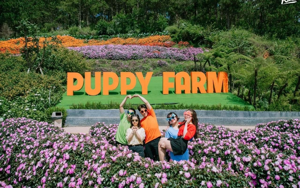 Puppy Farm Đà Lạt