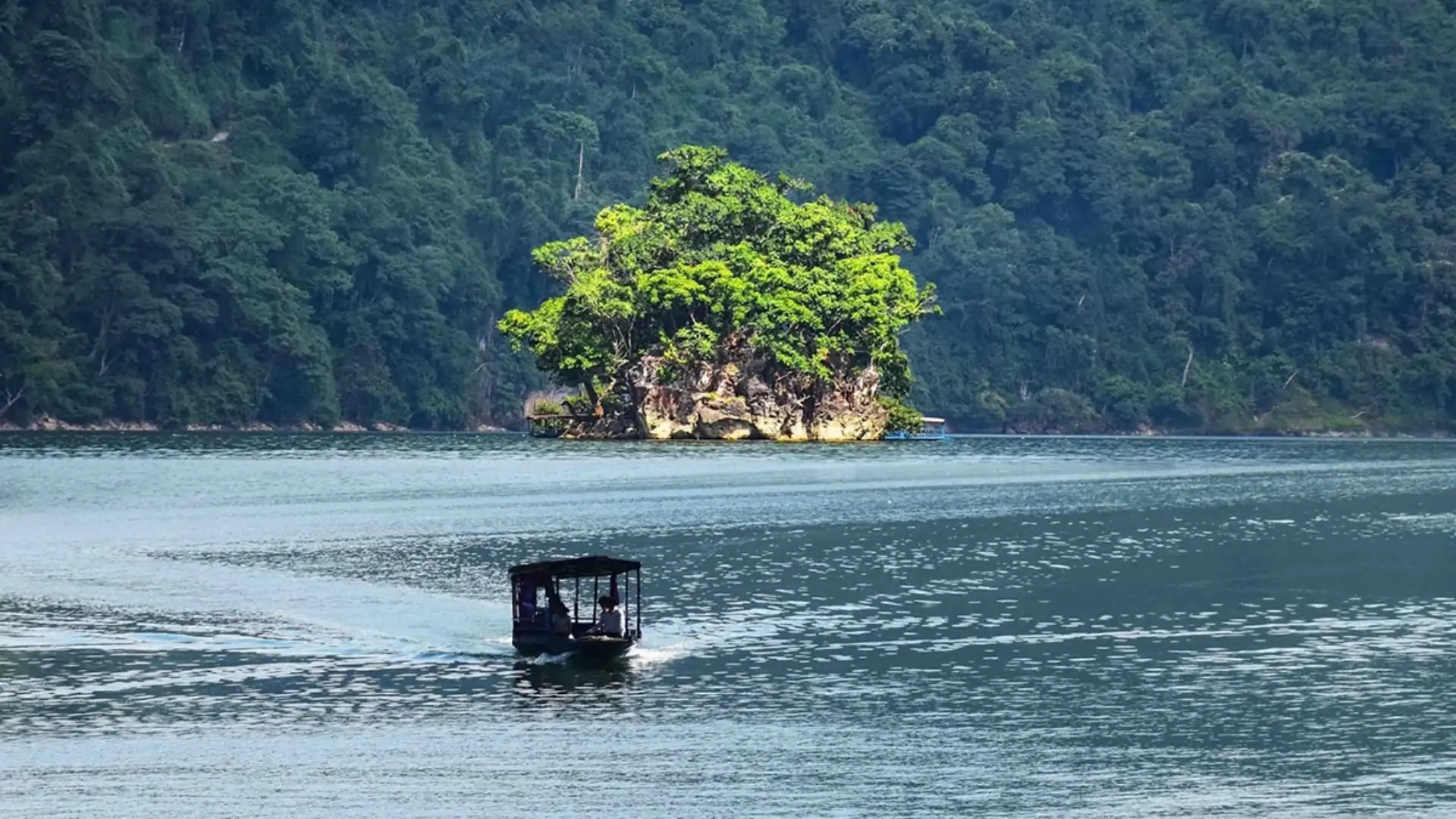 Rễ cây cổ thụ tạo nên thế vững chắc cho đảo