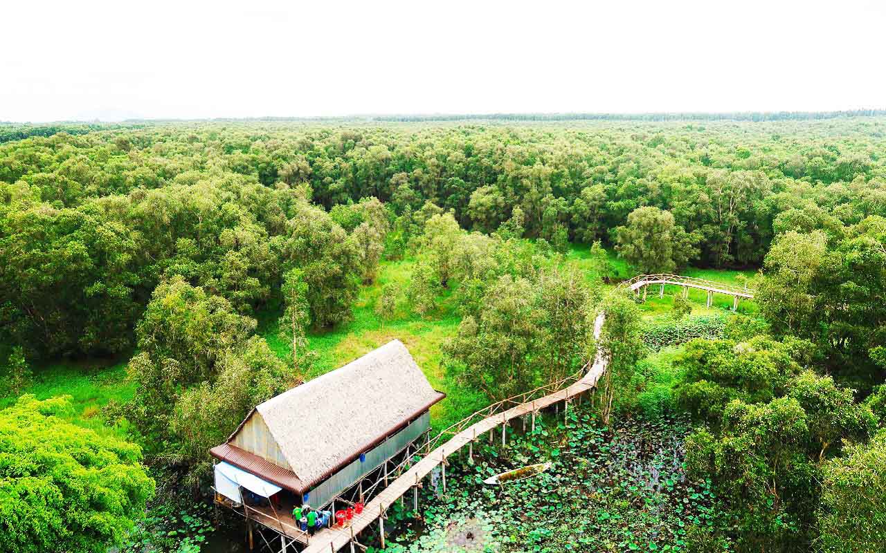 Toàn cảnh bao la rộng lớn của khu rừng rộng tới 845ha tại An Giang
