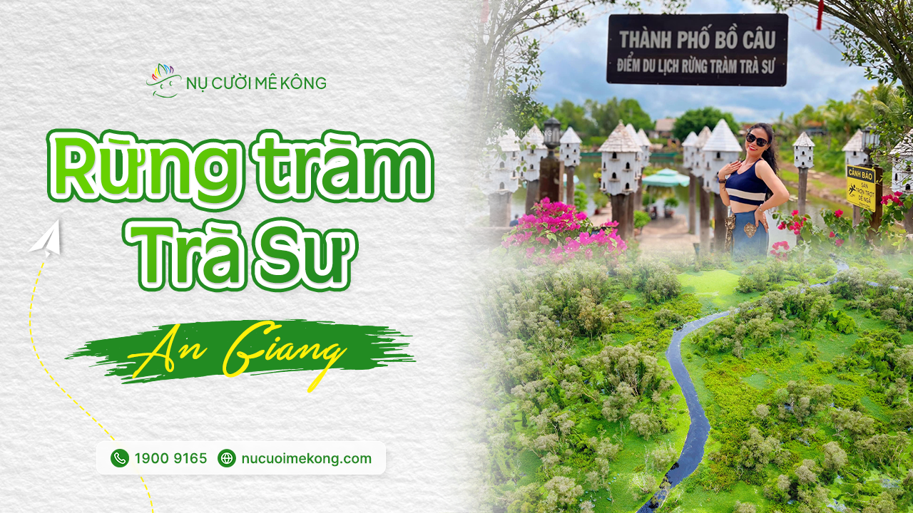 rừng tràm trà sư 2024