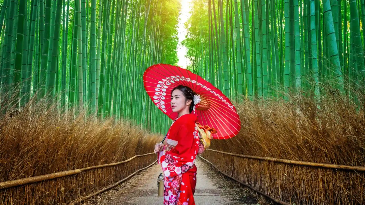 Rừng tre Arashiyama huyền bí ở Kyoto, lối đi ngập tràn ánh sáng và sắc thu.