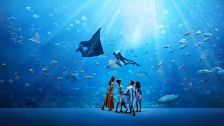 SEA Aquarium Sentosa – Tour Singapore Malaysia giá tốt