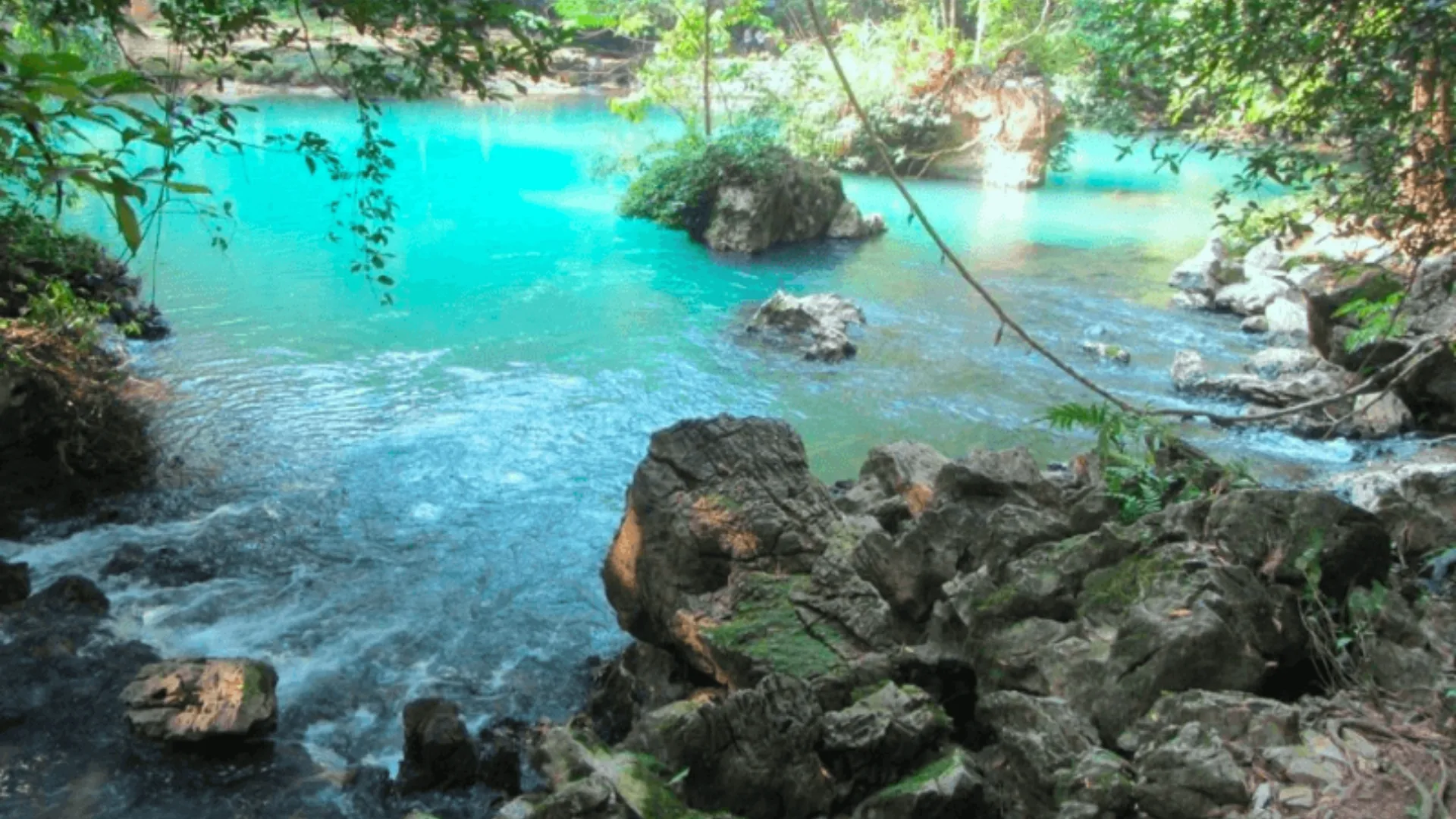 Suối Lê Nin mùa hè với dòng nước trong và mát mẻ