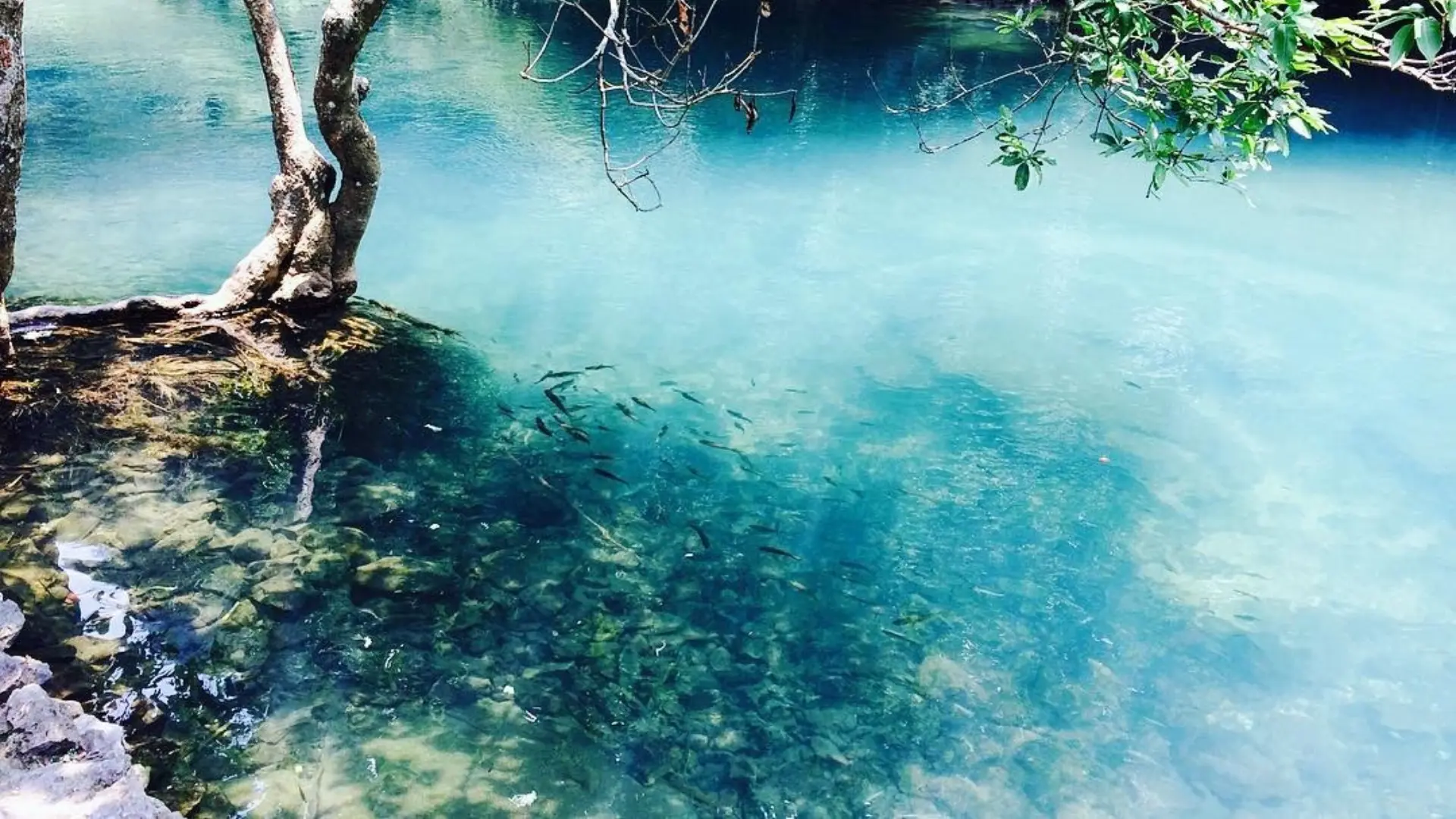 Suối Lê Nin là điểm du lịch gần Pác Bó