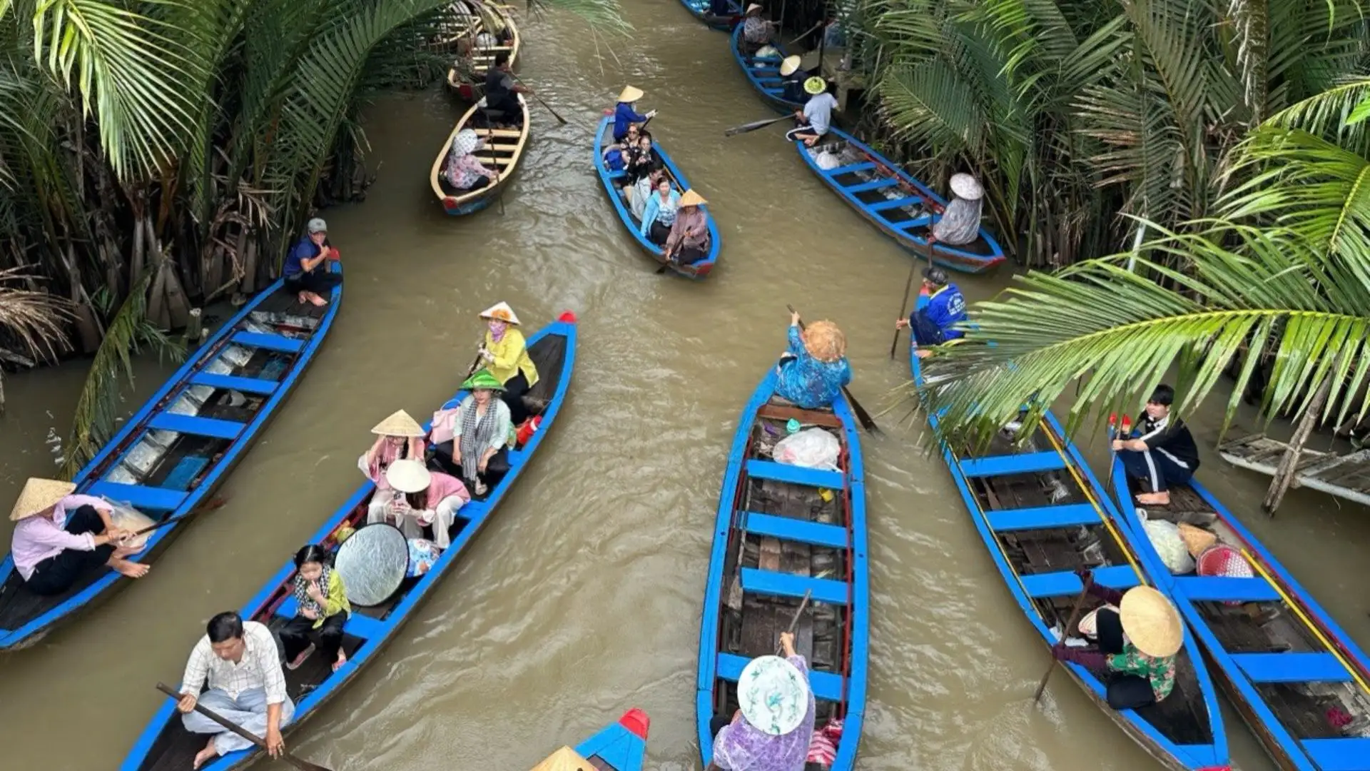 Team building miền Tây với trò chèo xuồng trong rạch dừa nước Cồn Thới Sơn