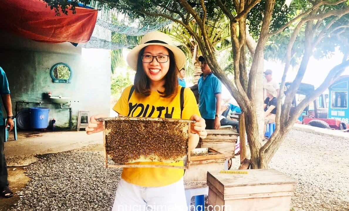 Tham quan trại nuôi mật ong truyền thống
