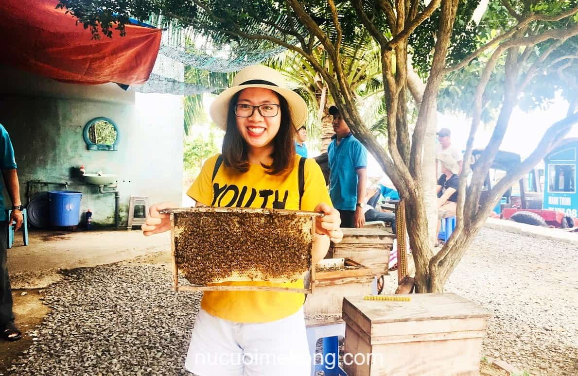 Tham quan trại nuôi mật ong truyền thống - tour Sài Gòn miền Tây 2 ngày 1 đêm
