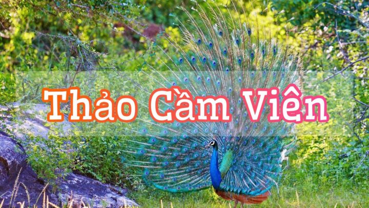 Thảo Cầm Viên