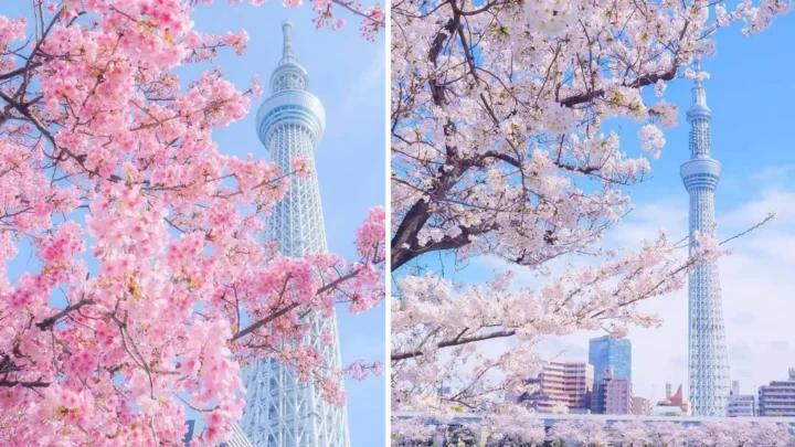 Tháp truyền hình Tokyo Skytree tại Nhật