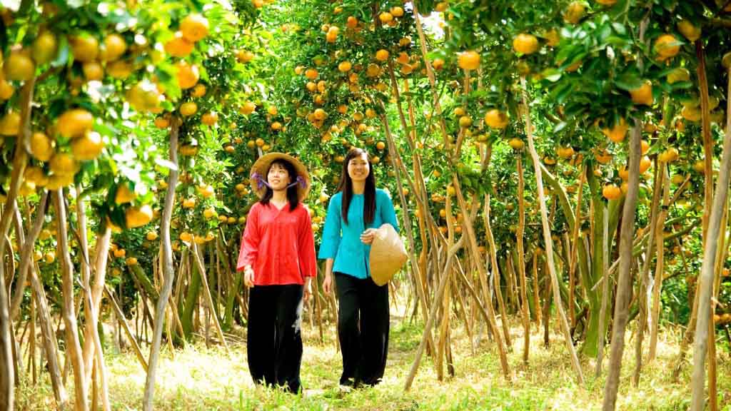 Mùa trái cây - Thời điểm đẹp nhất để đi du lịch ở Tiền Giang