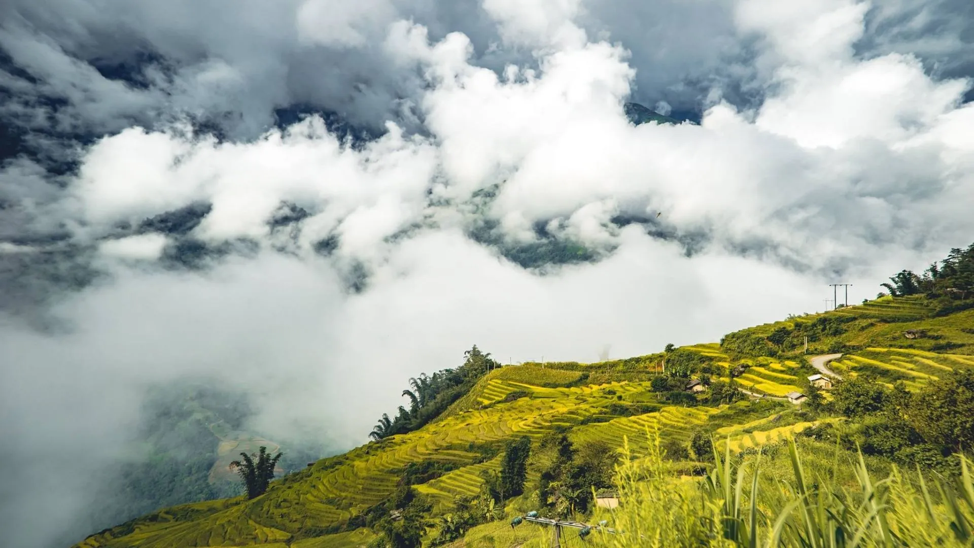 Tháng 9 đến tháng 4 là thời gian nên đi du lịch Y Tý