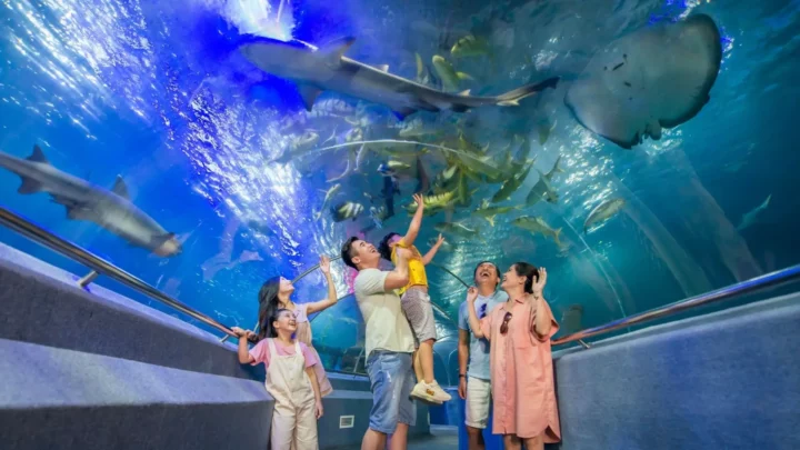 thuy-cung-vinpearl-tour-nha-trang-4-ngay-3-dem